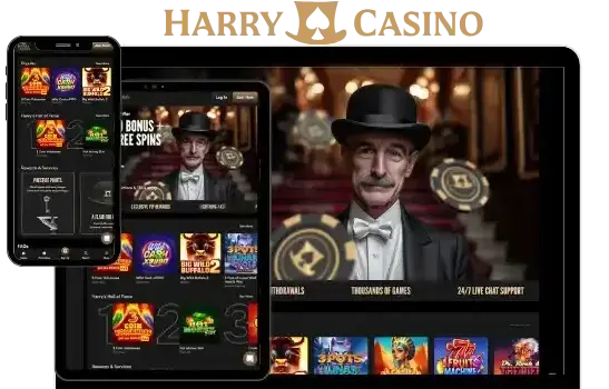 Harry Casino Bonus Overview image 2